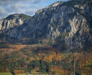 IMG_7488