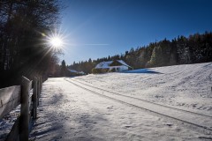 IMG_9066