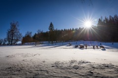 IMG_9079