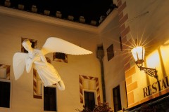 IMG_9137