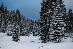 IMG_9170