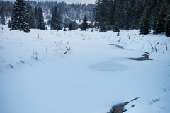IMG_9187
