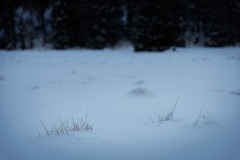 IMG_9197