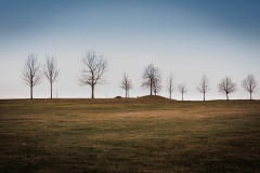 IMG_5298