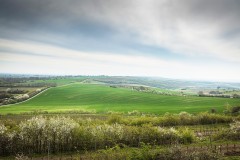 IMG_6466