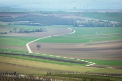 IMG_6472
