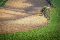 IMG_6589
