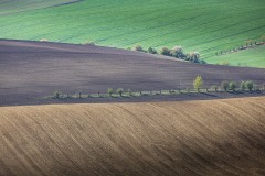 IMG_6674