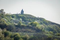 IMG_6702