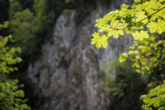 IMG_8308