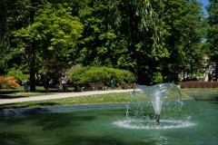 IMG_8442