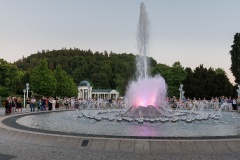 IMG_8547