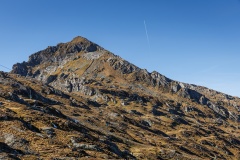 IMG_7896