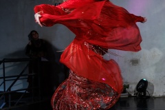 IMG_7005