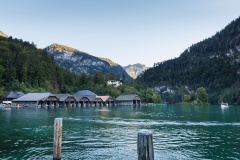 IMG_7705