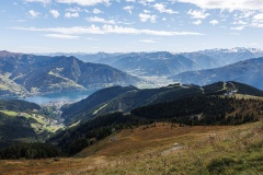 IMG_7775