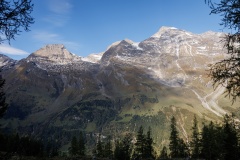 IMG_7918