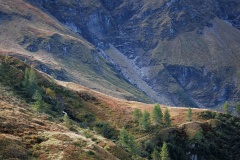 IMG_7924