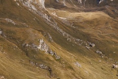 IMG_7965